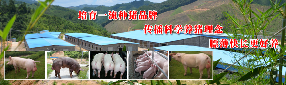 山东科大中天安控科技有限公司